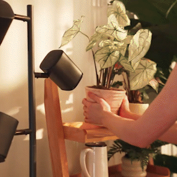 Govee Tree Floor smart projectintg Lamp Govee