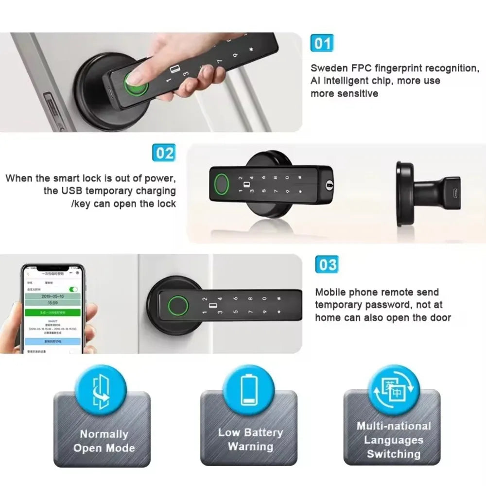 Smart Door Handle D-15 TUYA