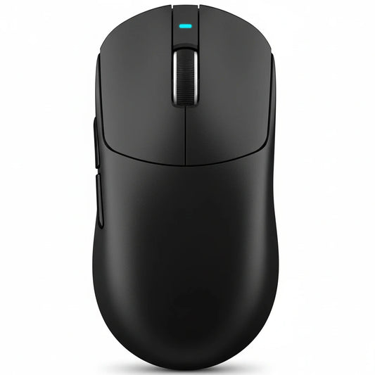 Black computer mouse on a white background