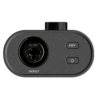 Blackstar POLAR GO Portable USB-C Audio Interface – input side
