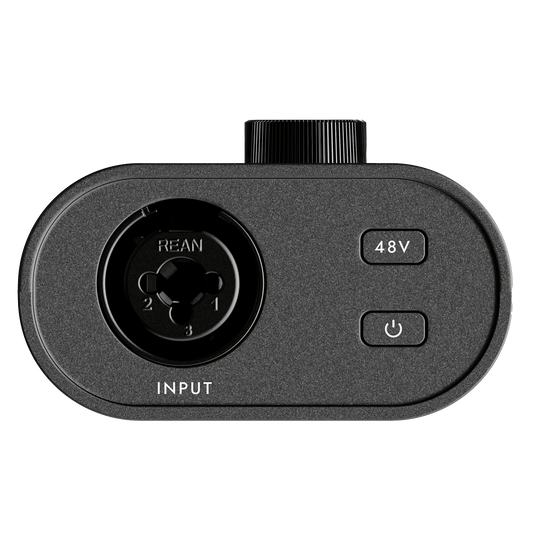 Blackstar POLAR GO Portable USB-C Audio Interface – input side