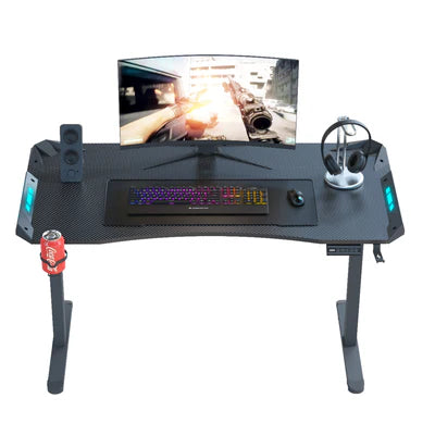 AY Ergonomic Electric Height Adjustable RGB Gaming Sit-Stand Desk