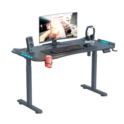 AY Ergonomic Electric Height Adjustable RGB Gaming Sit-Stand Desk