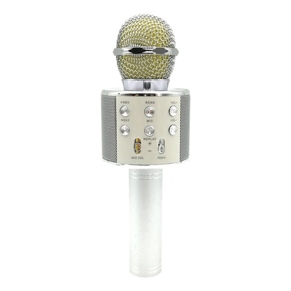 WS-858 Karaoke Microphone - Silver